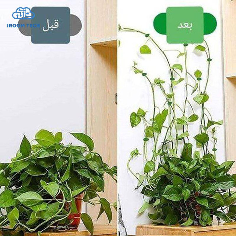 خرید گیره نگهدارنده گل پتوس(۱۰عددی) به قیمت عمده