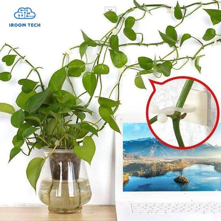 گیره نگهدارنده گل پتوس(۱۰عددی)